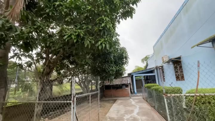 Nhà mặt tiền Quốc Lộ 1A, Kinh 5 Thước, 828m² - Giá thương lượng hấp dẫn!