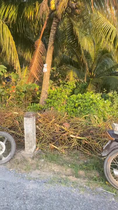 Đất nền Trà Ôn 335m² giá 800 triệu - Tiềm năng phát triển cao!