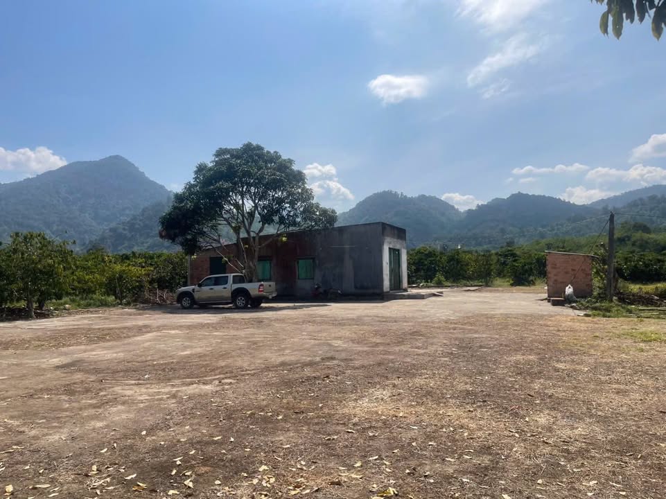 Đất Farm 10ha Đạ Tông, Đam Rông, Lâm Đồng giá 29.9 tỷ - Sổ đỏ chính chủ, tiện ích đầy đủ!