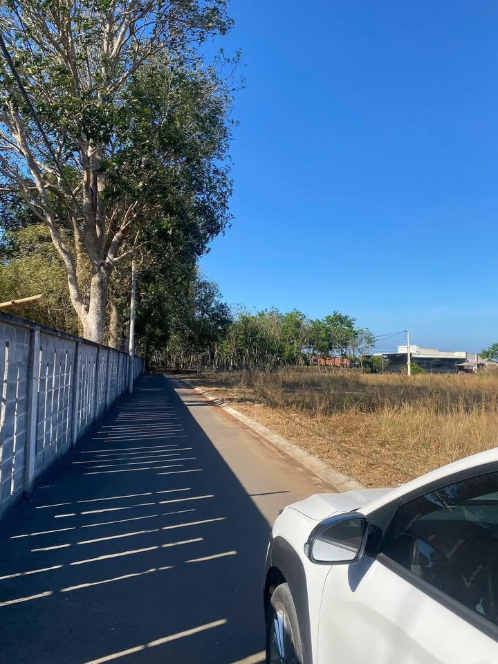 Đất nền xã Đa Phước, Bình Chánh 123m² giá 980 triệu - Sẵn sàng xây dựng tự do!