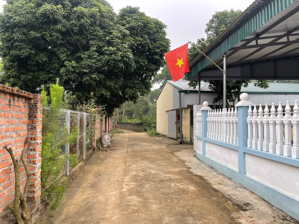 Đất nền Khu 4 Phú Hộ 180m² giá 1.3 tỷ - Cơ hội đầu tư tuyệt vời!