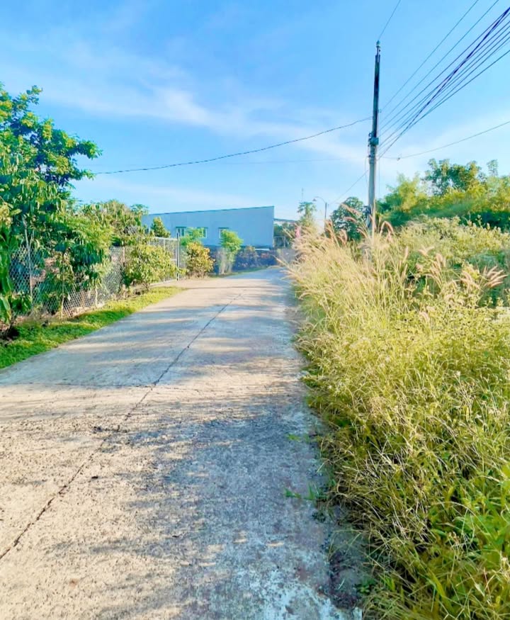 Đất thổ cư 156m² tại Xã Phú Tân, Huyện Định Quán - Giá chỉ 369 triệu VND!