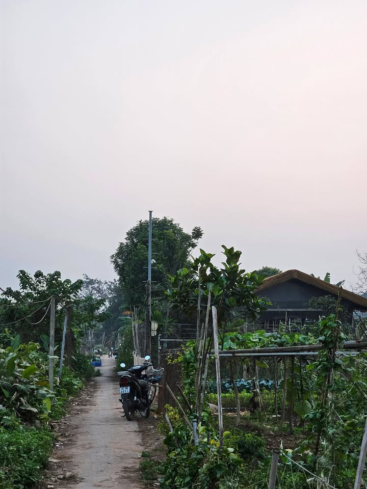 Đất Làng Yên Mỹ, Thanh Trì 130m² giá chỉ 455 triệu - Sổ hồng chính chủ