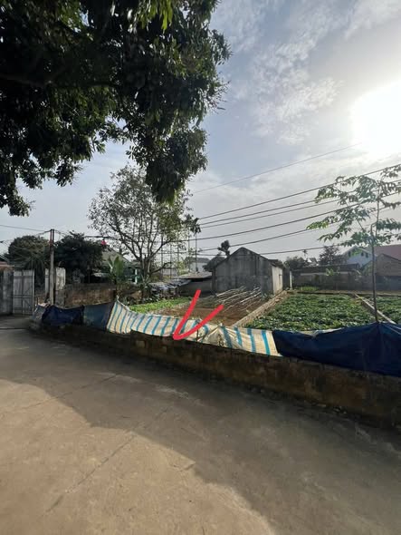 Đất nền chính chủ tại Thủ Dầu Một 55.7m² giá 1.4 tỷ - Sổ đỏ sẵn sàng!