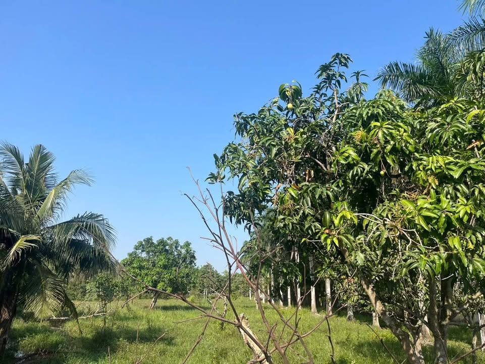 Đất nền Long Phước, Thủ Đức 14,400m² giá 144 tỷ - Cơ hội đầu tư lý tưởng!