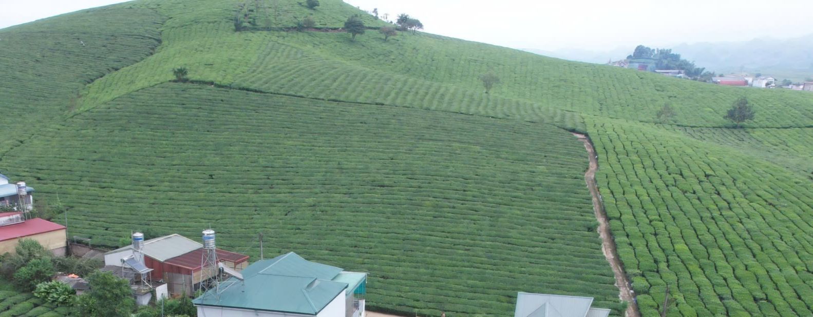 Đất nền Vân Sơn Mộc Châu 135m² giá 1 tỷ - Ô tô đỗ cửa, view đẹp!