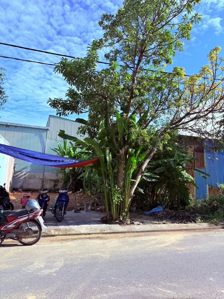 Đất nền đường 7.5m Phan Văn Đáng, Hòa Xuân, 90m² giá 5.2 tỷ - Kinh doanh sầm uất!