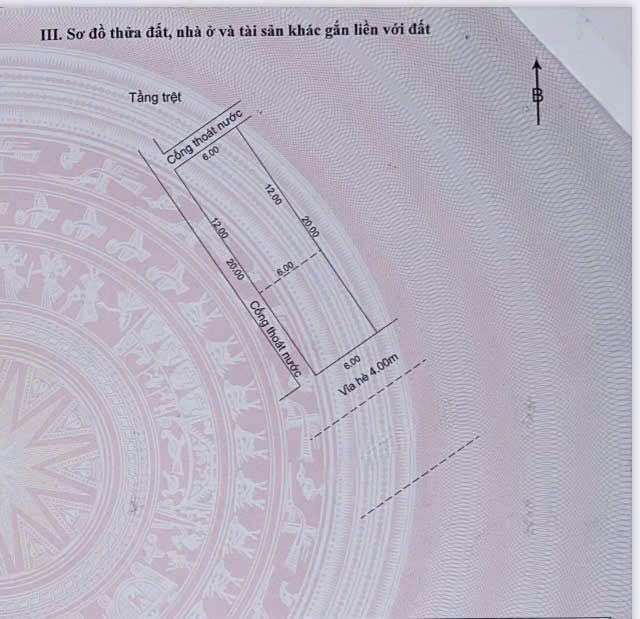 Đất tặng nhà cấp 4 mặt tiền Lưu Trùng Dương, Ngũ Hành Sơn 120m² giá 5.4 tỷ - Đầu tư sinh lời!