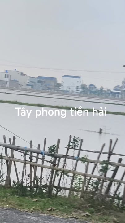 Đất nền Tây Phong, Tiền Hải 500m² giá 2 tỷ - Cơ hội đầu tư tuyệt vời!