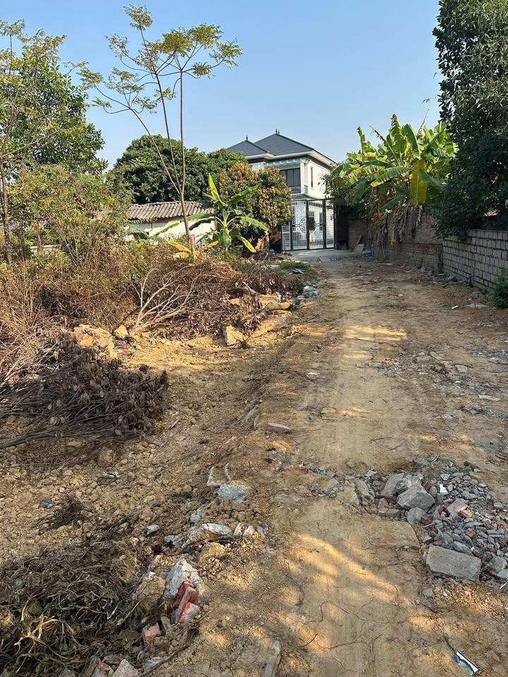 Đất nền TDP Hồng Sơn, Bắc Ninh 100m² giá 400 triệu - Vị trí đẹp, giao thông thuận tiện!