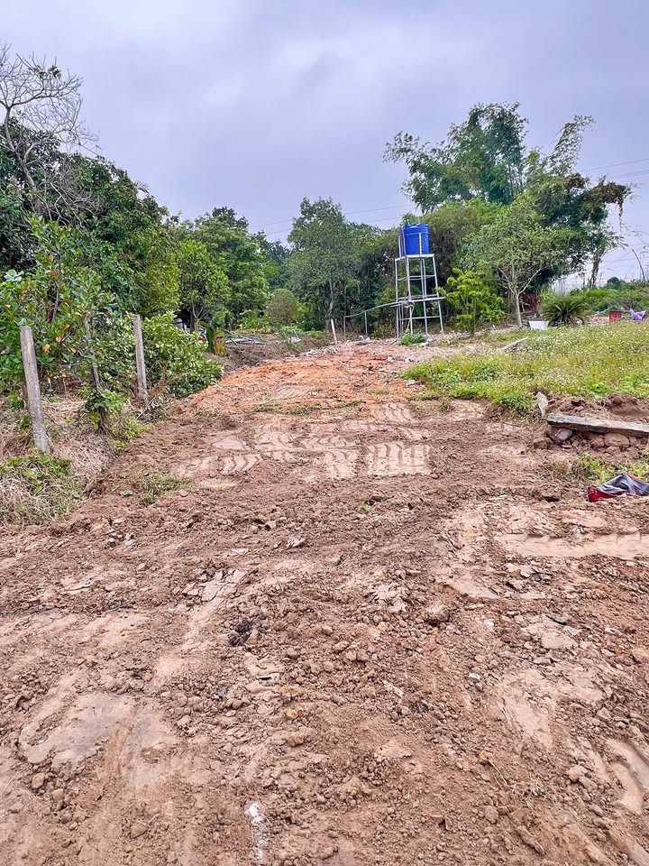 Nhà bán Phường Ninh Dương, Thành phố Móng Cái 100m² chỉ 1 tỷ - Cơ hội đầu tư tuyệt vời!