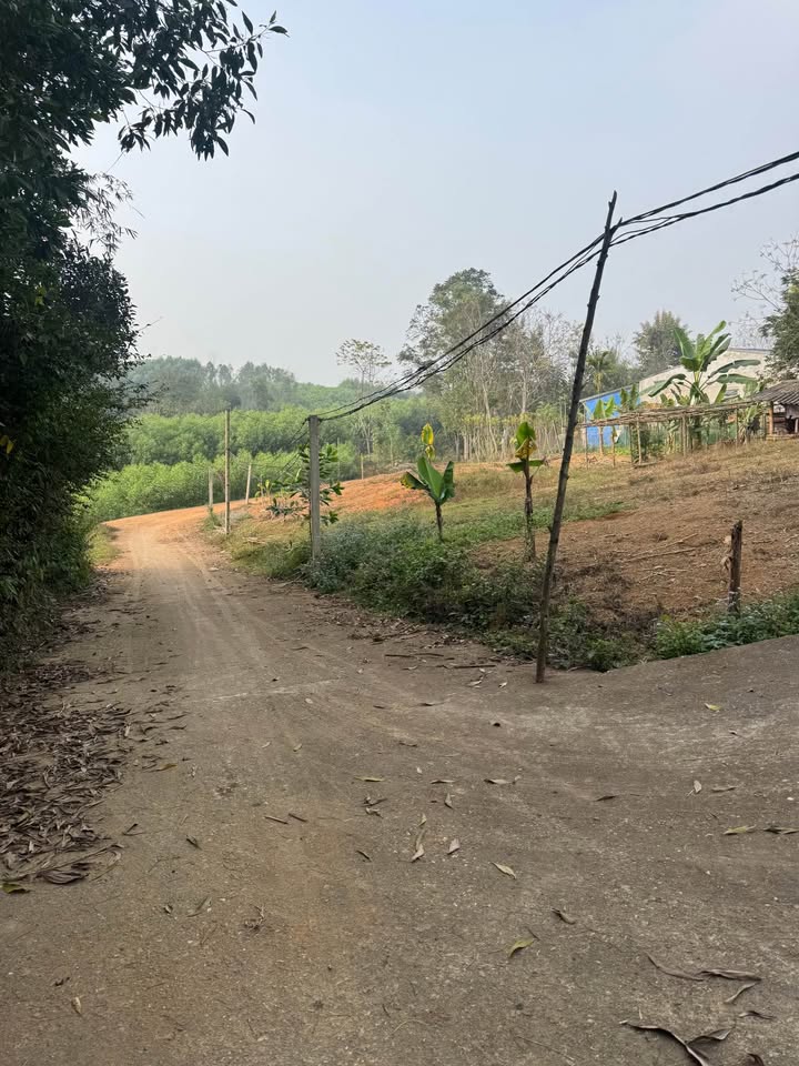 Đất nền An Khang Tuyên Quang 118m² giá chỉ 300 triệu - Cơ hội đầu tư hấp dẫn!