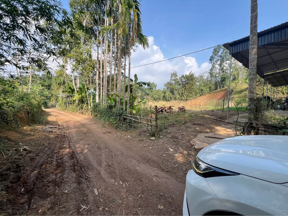 Đất nền đầu tư Tân Lạc Hòa Bình 1400m² giá chỉ 500 triệu - Cơ hội không thể bỏ lỡ!