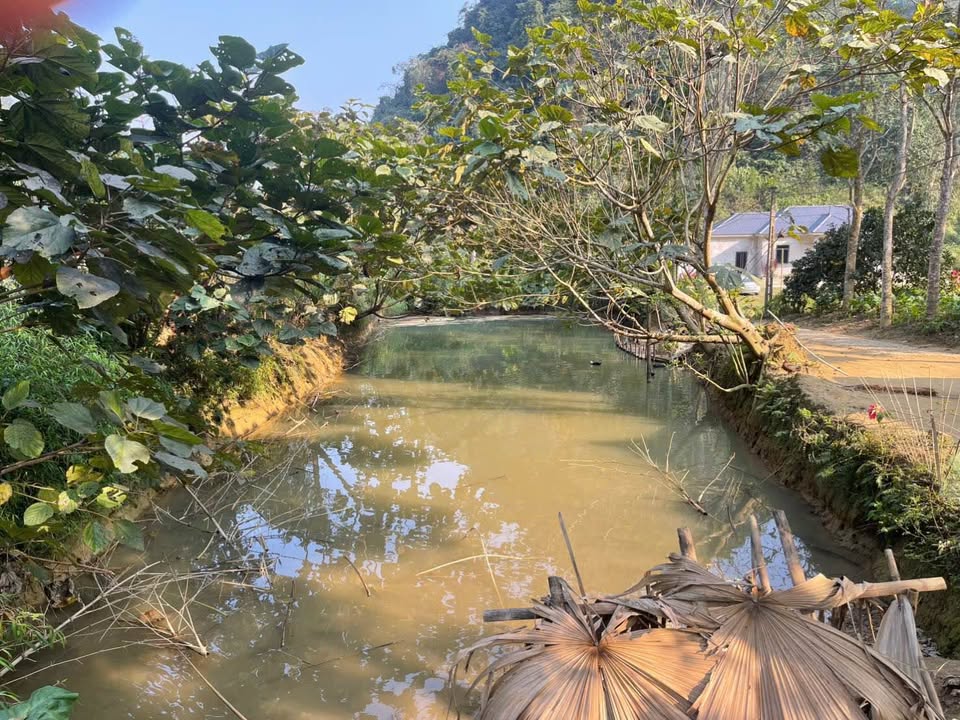 Lô đất Farm 1400m² tại Tân Lạc, Hòa Bình giá 900 triệu - View cánh đồng tuyệt đẹp!