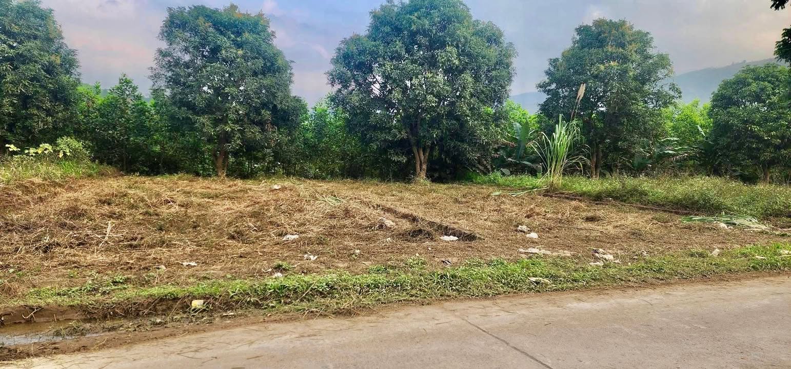 Đất nền Lương Sơn Hòa Bình 167,8m² giá 1 tỷ - Cơ hội đầu tư hấp dẫn!