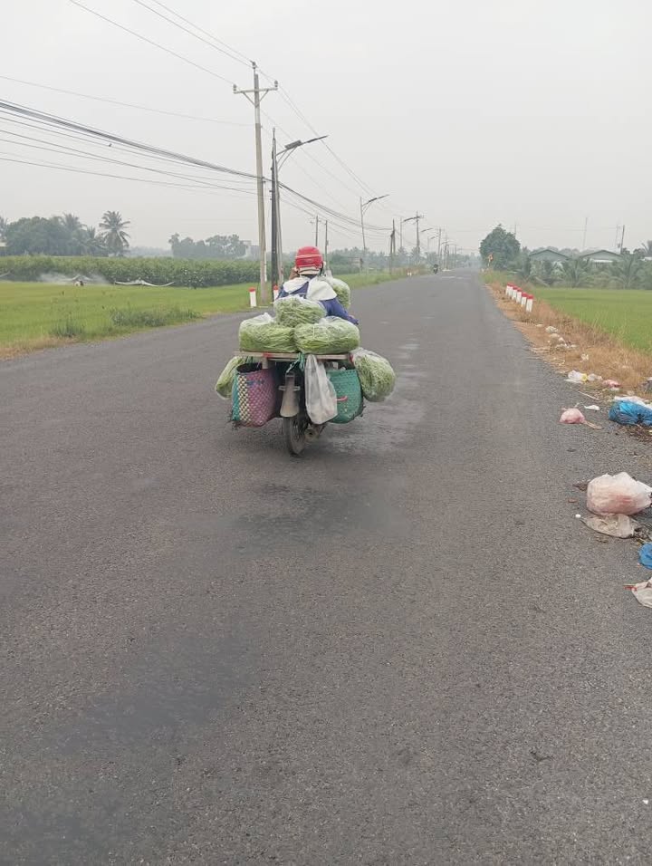 Đất thổ cư mặt tiền DT 834B, xã Mỹ An, Thủ Thừa - 479m² giá chỉ 4 tỷ!