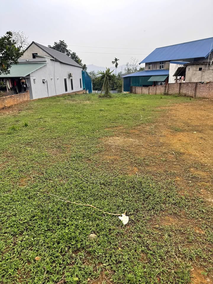 Đất nền Xóm 1 Yên Mông 1000m² giá thỏa thuận - Tiềm năng đầu tư lớn!