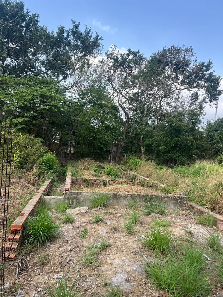 Đất nền phường 3, Tây Ninh 100m² giá 1.8 tỷ - Cơ hội đầu tư hấp dẫn!