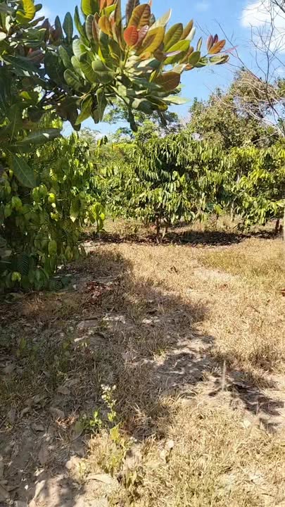 Đất nền tại xã Ia Tul, huyện Ia Pa, 11,000m² giá 1.2 tỷ - Cơ hội đầu tư hiếm có!