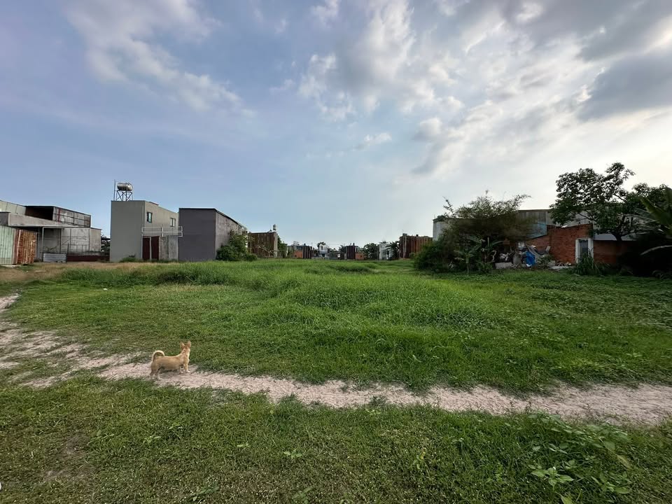 Đất nông nghiệp 1466m² tại Vĩnh Lộc A, Bình Chánh - Chính chủ bán gấp