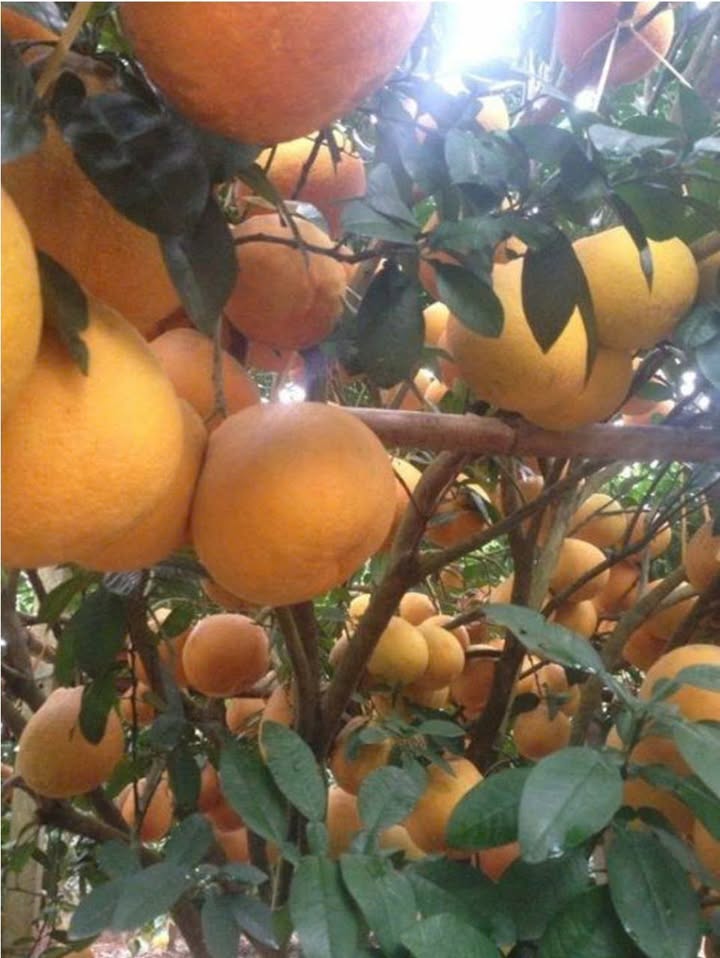 Đất nền Phường Tiền Phong 3000m² giá thỏa thuận - Đầu tư khôn ngoan