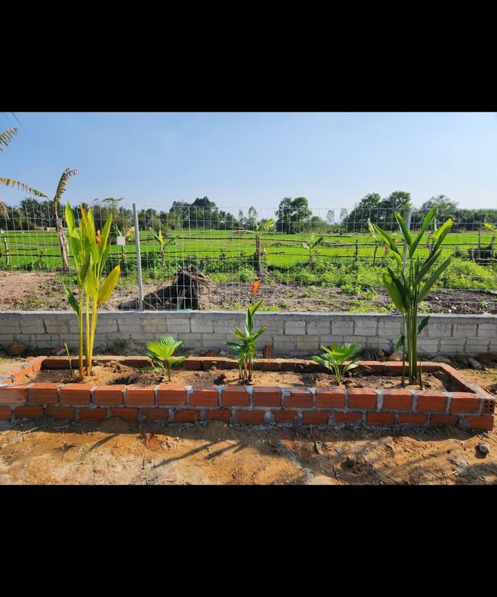 Nhà vườn Hòa Phước, Đà Nẵng 600m² giá 6 tỷ - Đầu tư sinh lời lý tưởng!