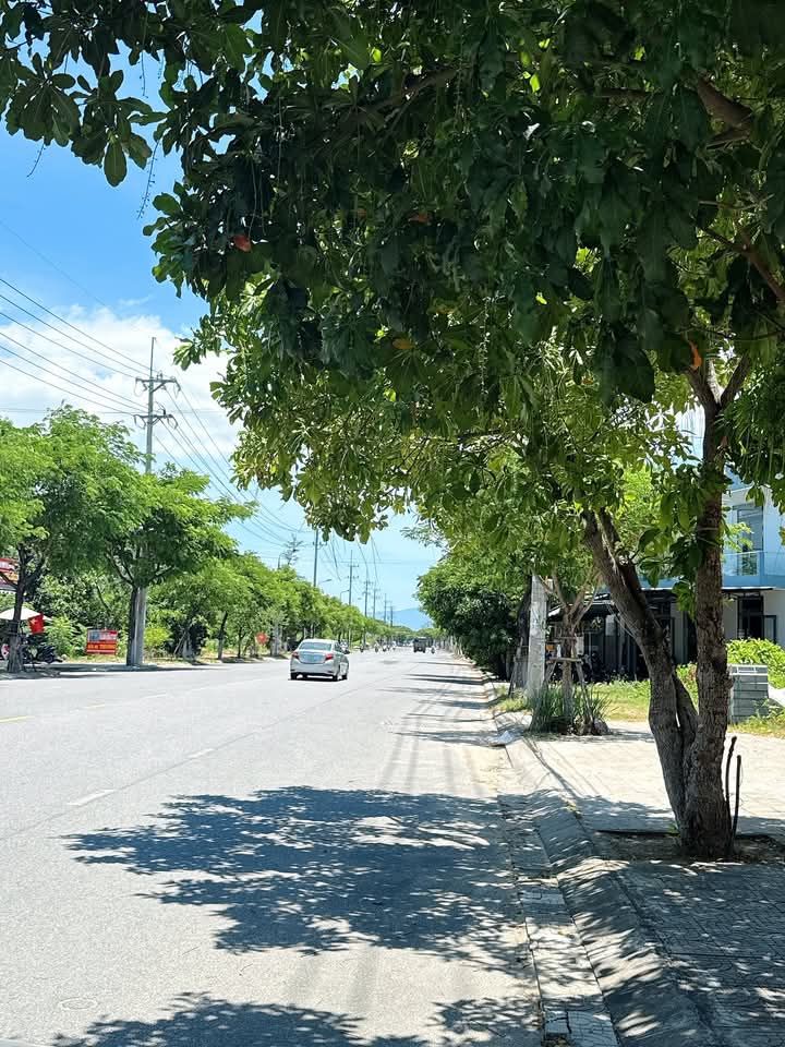 Đất nền mặt tiền Mai Đăng Chơn, Hòa Quý 115m² giá 5 tỷ - Đầu tư sinh lời cao!