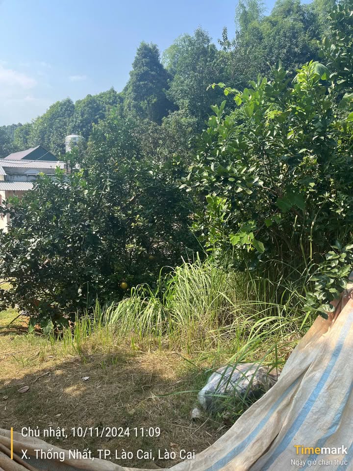 Đất thổ cư Thôn Giao Tiến, Xã Thống Nhất 2959m² giá chỉ 2.xxx tỷ - Sổ hồng chính chủ!