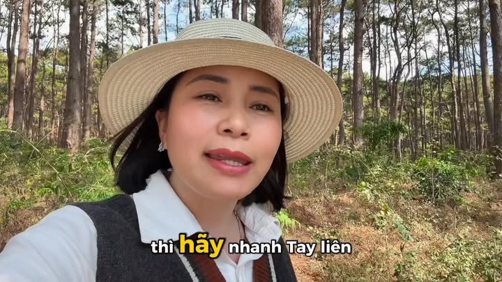 Đất Farm 1ha tại Mang Yang, Gia Lai giá 1,6 tỷ - Không thể bỏ lỡ!