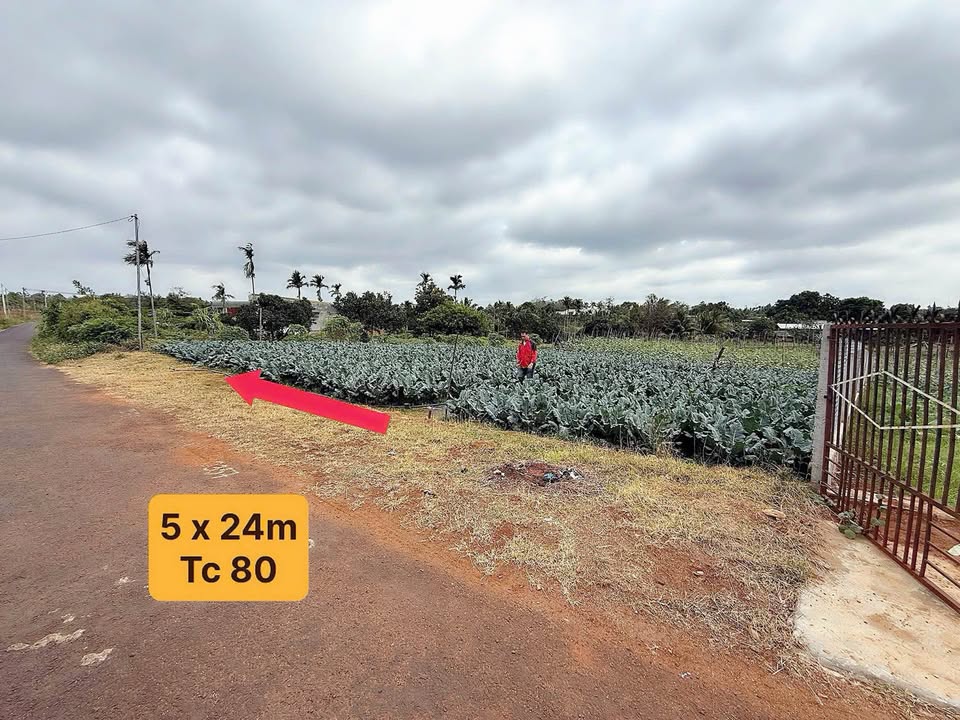 Đất nền Phường Ea Kao 120m² giá 799 triệu - Cơ hội đầu tư hấp dẫn!