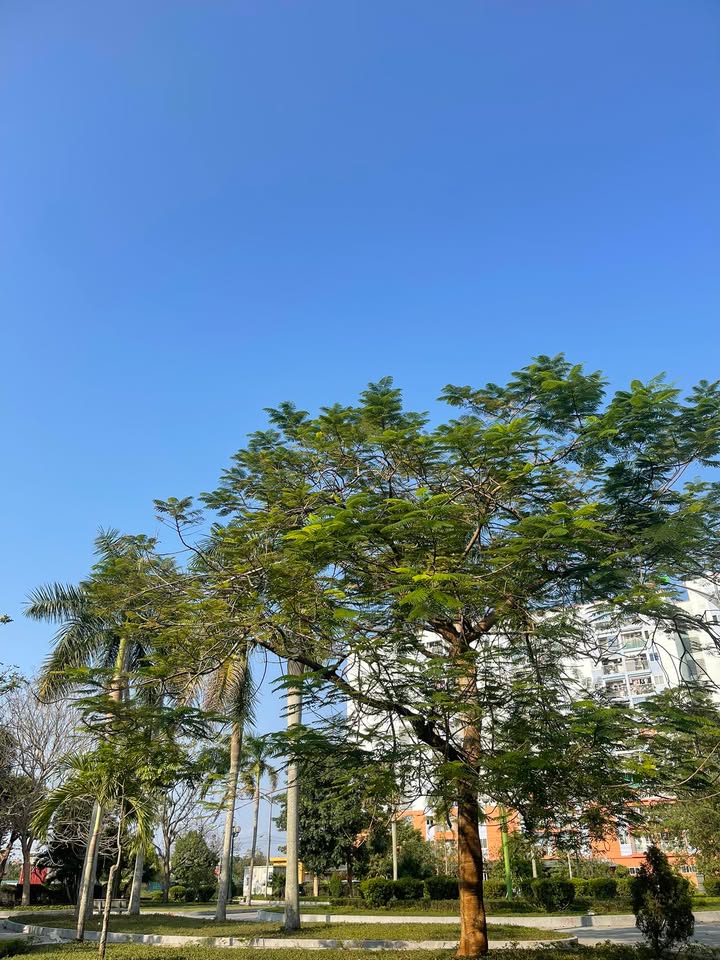 Đất mặt tiền Thành phố Thanh Hóa 56m² - Đầu tư sinh lời ngay!