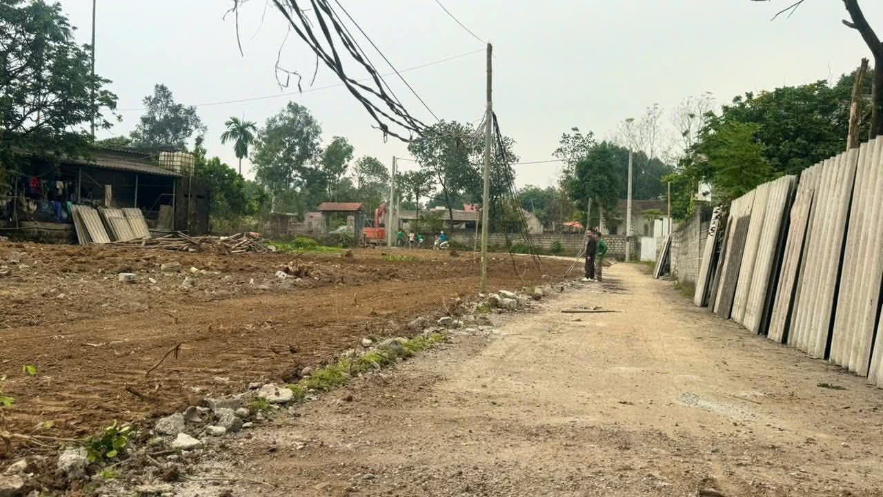 Đất nền Lương Sơn Hòa Bình 100m² giá chỉ 600 triệu - Đầu tư sinh lời cao!