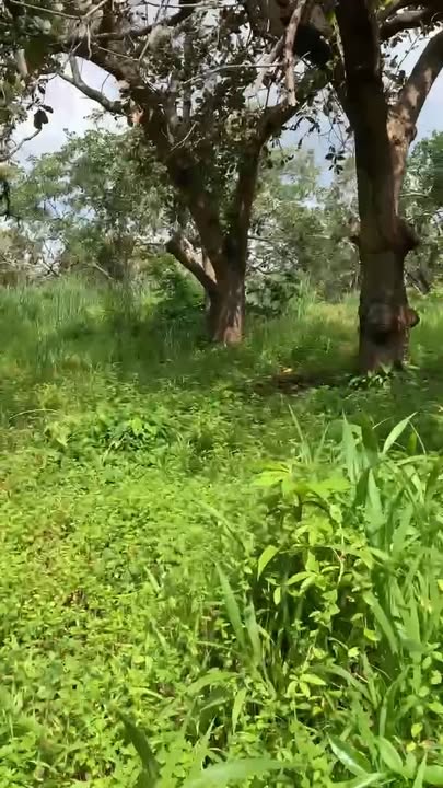 Đất nền Phước Tân 100m² giá 2.35 tỷ - Sổ đỏ chính chủ, vị trí đẹp!