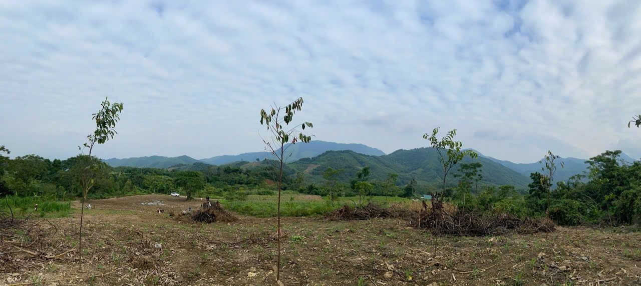 Đất vườn Đà Bắc Hòa Bình 9500m² giá 2 tỷ - View thoáng mát, gần khe nước