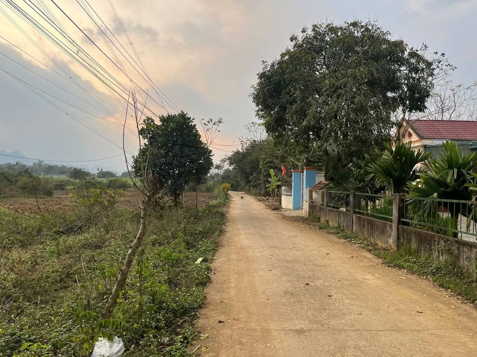 Đất nền Yên Sơn, Thanh Sơn, Phú Thọ 444m² giá tốt - Đầu tư sinh lời dễ dàng!