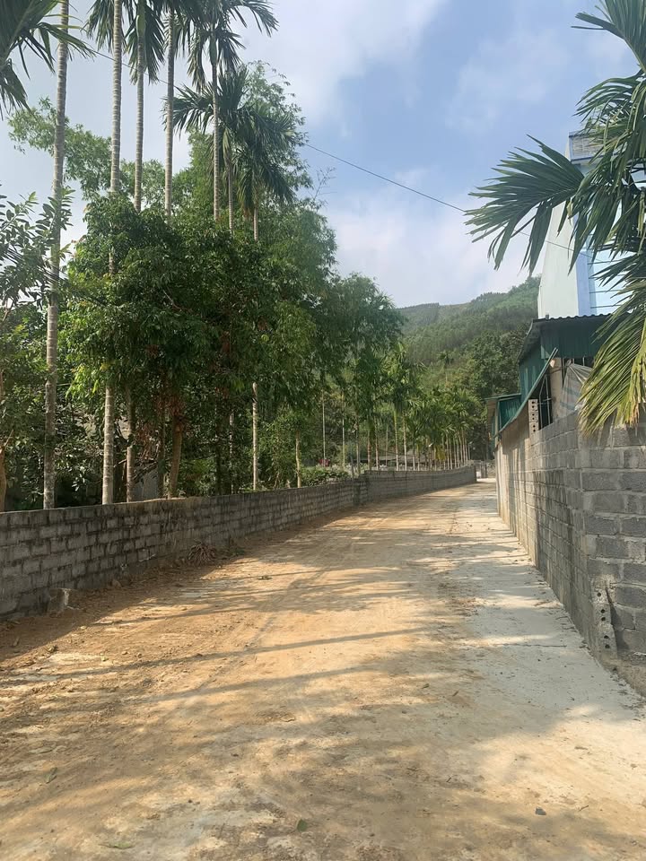 Đất nền mặt tiền 280m² xã Bình Sơn - Giá chỉ 1 triệu/m², cơ hội đầu tư tuyệt vời!