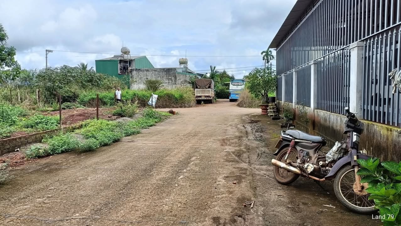 Đất nền Khu đấu giá Phú Lộc 132m² giá 1.x tỷ - Đầu tư sinh lời ngay!