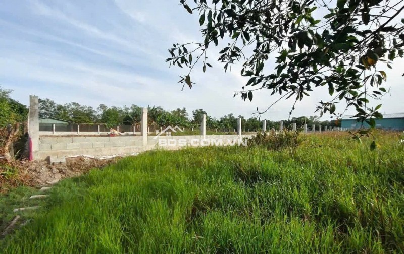 Đất mặt tiền đường D1, Quận 9, 2500m² chỉ 15 triệu/m² - Đầu tư sinh lợi cao!