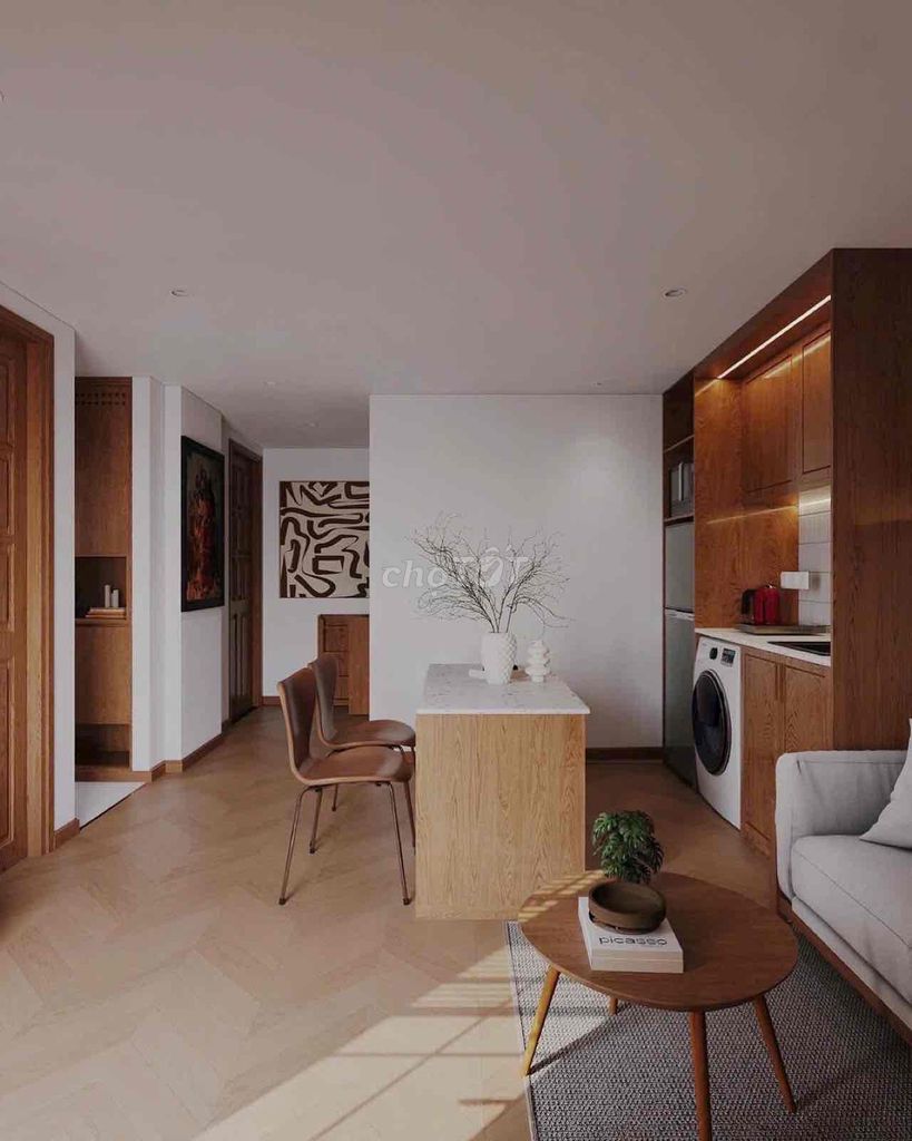 Căn hộ cao cấp cho thuê tại Thạch Thị Thanh, Quận 1 - 16 triệu, vào ở ngay!