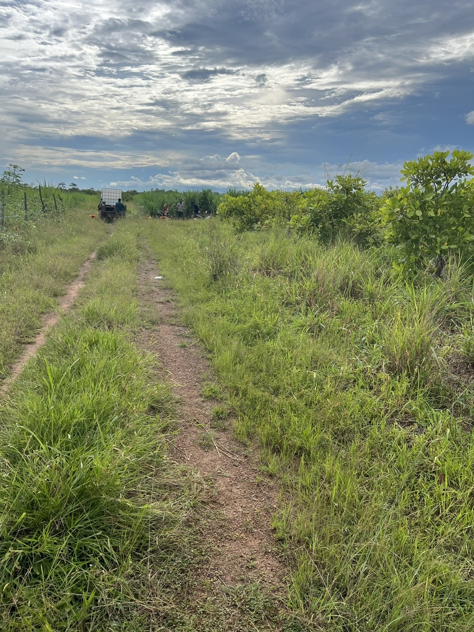 Đất nền chính chủ Đắk Lắk 11.115m² giá 2,5 tỷ - Sổ hồng rõ ràng!