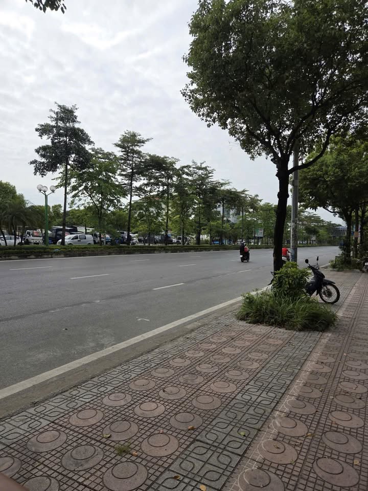 Mặt phố Ngô Gia Tự 201m² giá 40.2 tỷ - Kinh doanh thuận lợi!