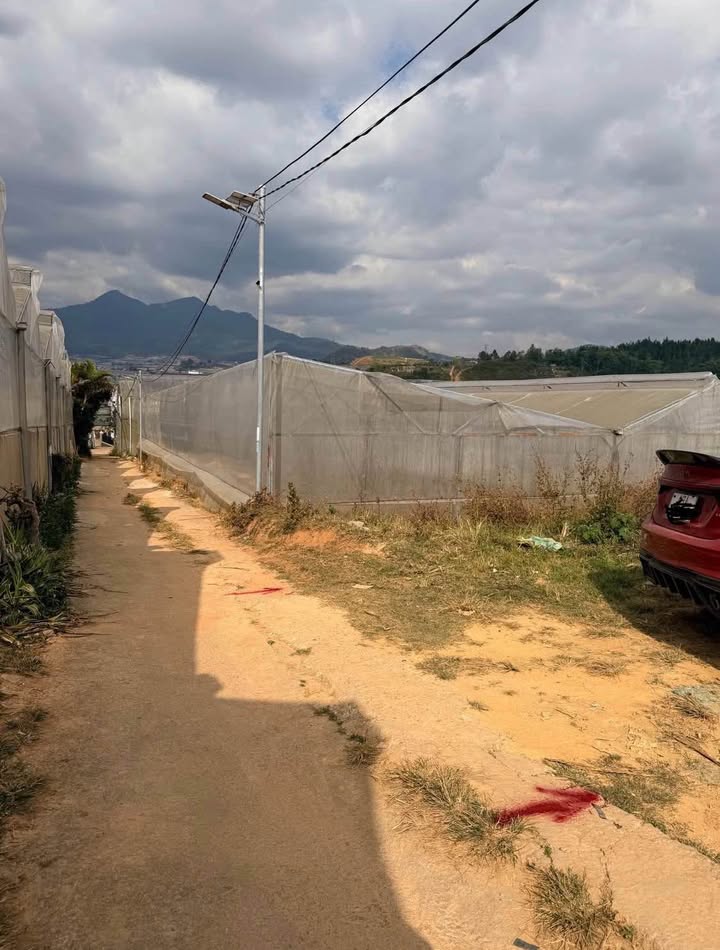 Đất nền đường Dankia, Phường 7, Đà Lạt 92m² - Cơ hội đầu tư hấp dẫn!