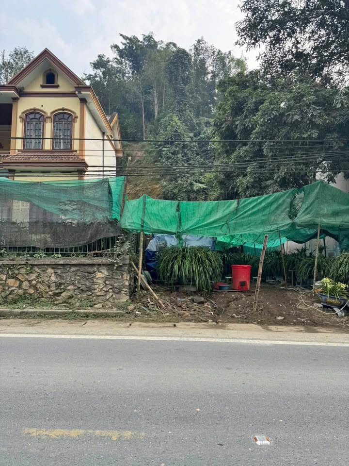 Đất nền Cốc San Lào Cai 130m² giá 1.46 tỷ - Vị trí kinh doanh lý tưởng!