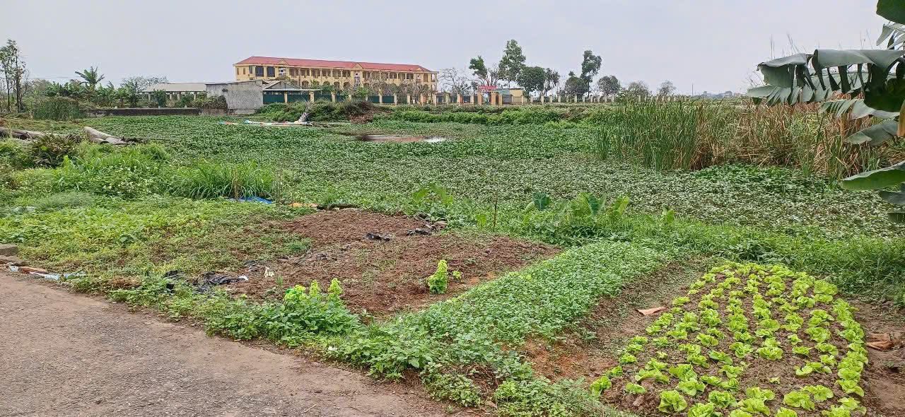 Đất nền Tây Lương - Tiền Hải 138m² giá đầu tư chỉ 8xx triệu - Cơ hội hiếm có!