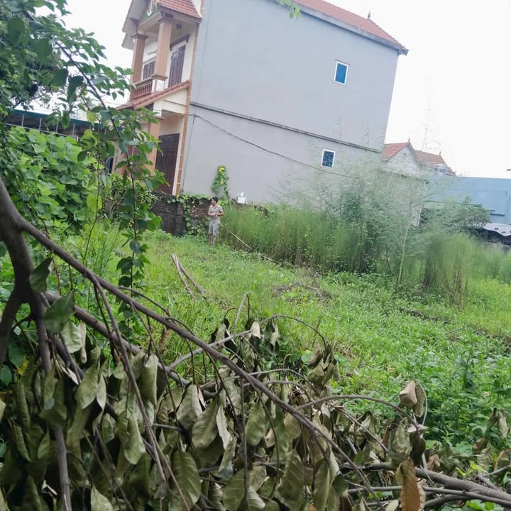 Đất nền xóm 3 Chương Dương 72.6m² giá chỉ 4.79 tỷ - Chính chủ bán gấp trước Tết!