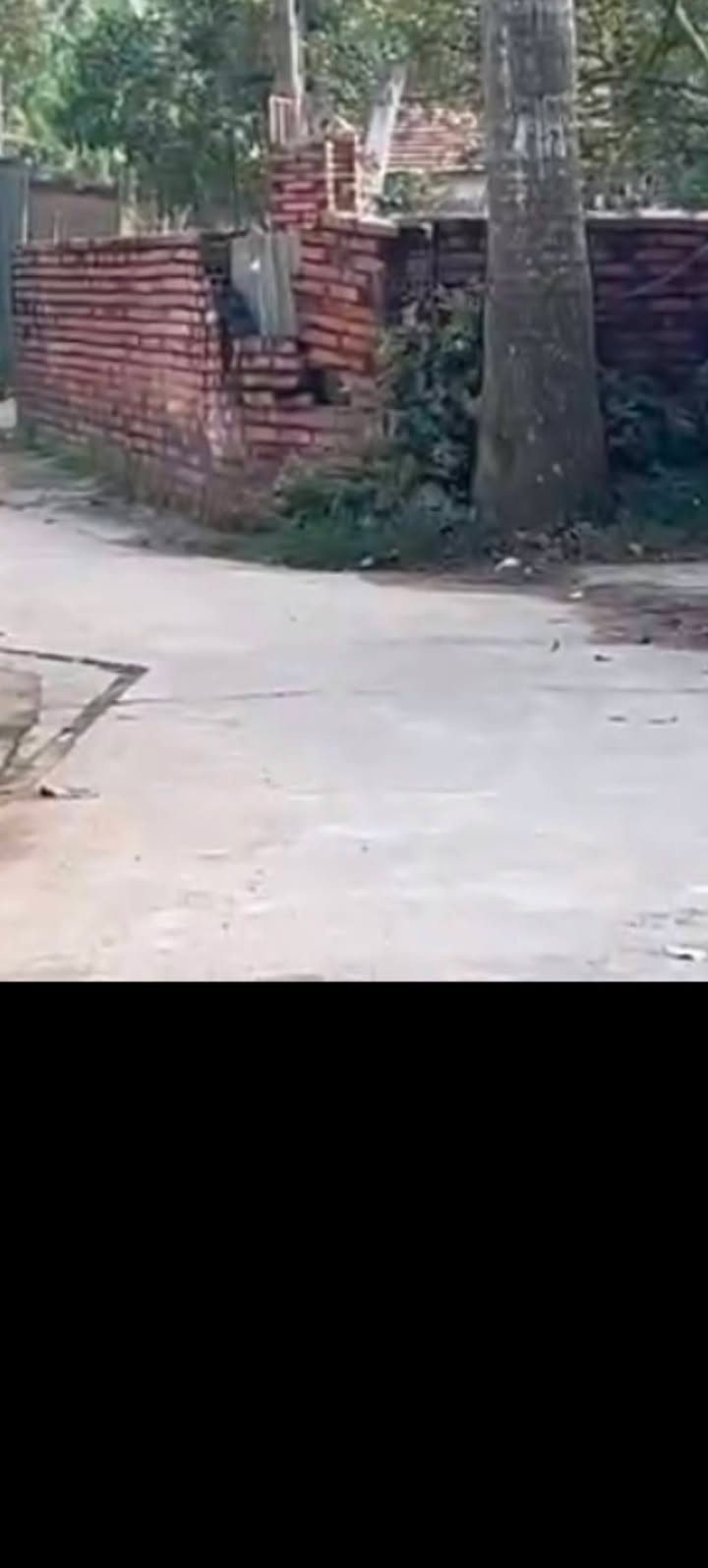 Đất Thủy Phú Thường Tín 90m² giá 1.9 tỷ - Ô tô vào tận nơi!