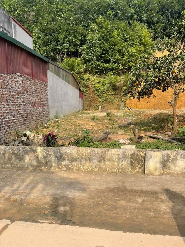 Đất thổ cư tại Yên Ninh, Yên Bái 77m² giá 1.5 tỷ - Sẵn sàng cho mọi kế hoạch đầu tư!