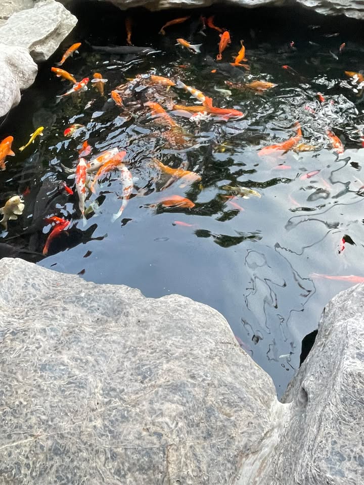 Đất nền Vạn Lộc, Hải Dương 74.25m² giá 3 tỷ - Gần vườn hoa sân bóng!