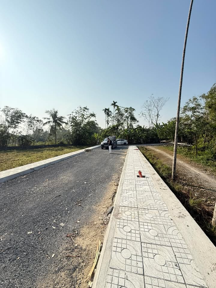 Đất nền xóm Tân Vĩnh, xã Bình Minh 345m² giá 1 tỷ - Cơ hội đầu tư hấp dẫn!