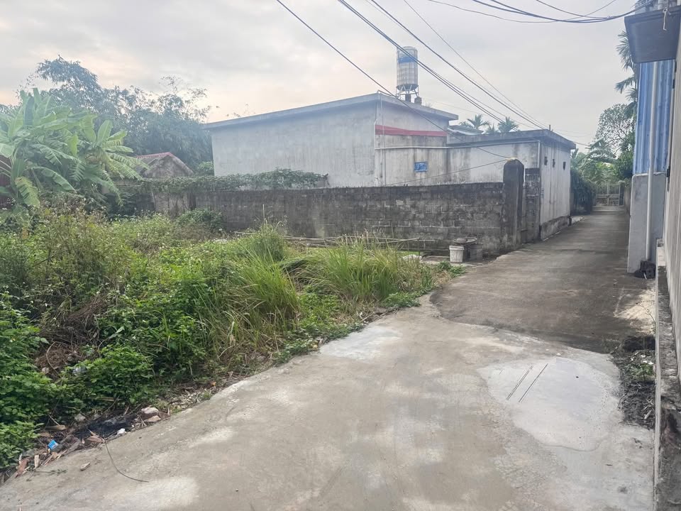 Đất nền Quang Hưng, An Lão 90m² giá chỉ 5.5 tỷ - Cơ hội đầu tư tuyệt vời!